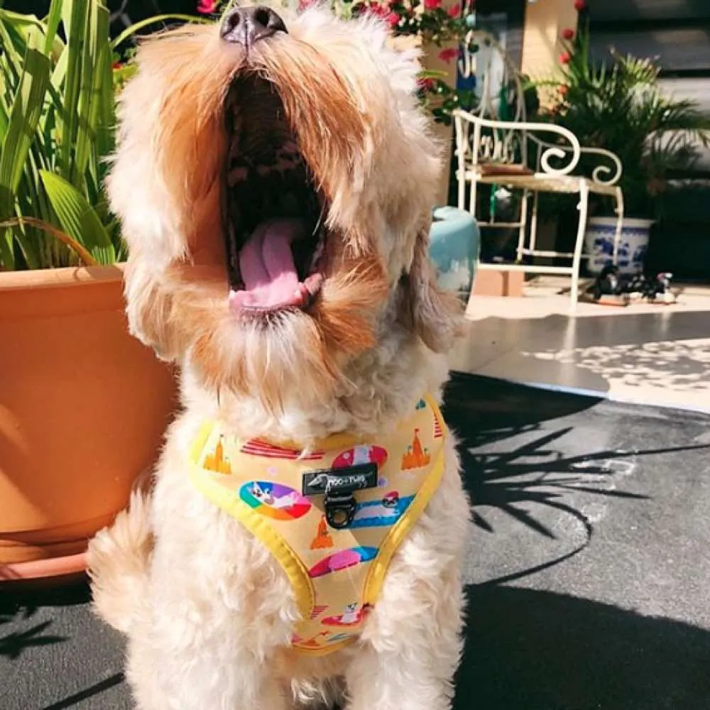 Moo Twig Beach Bums Step-In Dog Harness